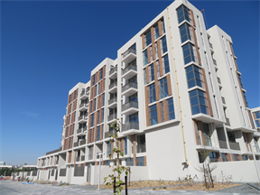 Mudon Views, Mudon construction progress, 100% complete: RERA site inspection 25 Feb 2020 (photo 3)