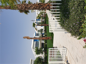 Damac Lagoons - Santorini (1) — construction site