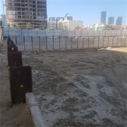 Inspection photo of Sereno Residences, 2025-01-21