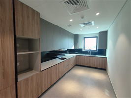 Cresswell Residences — construction site