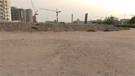 Inspection photo of Reef 995, 2025-12-22