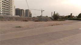 Inspection photo of Reef 995, 2025-12-22