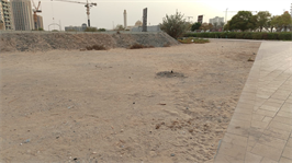 Inspection photo of Reef 995, 2025-12-22