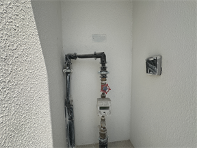 Inspection photo of Alaya, 2026-08-14