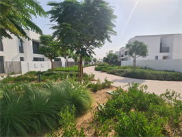 Arabian Ranches Lll - Anya — construction site