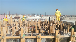 Palm Jebel Ali - Frond P — construction site