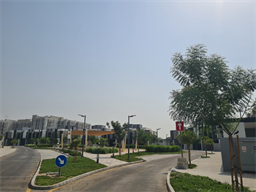 Mudon Al Ranim 5, Mudon construction progress, 100% complete: RERA site inspection 15 Jul 2026 (photo 2)