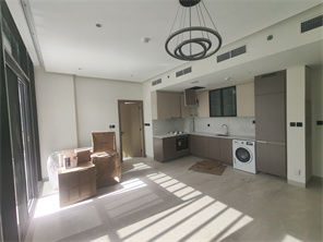 Ashton Park Residences, Jumeirah Village Circle (JVC) construction progress, 100% complete: RERA site inspection 20 Feb 2026 (photo 6)