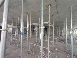 Maison Elysee I — construction site