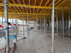 Inspection photo of Primero Residences by Main Realty, 2026-08-11