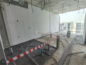 Inspection photo of Floarea Vista, 2026-09-01