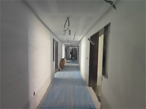 Inspection photo of Floarea Vista, 2026-09-01
