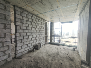 Inspection photo of THE FIFTH TOWER , 2026-08-04