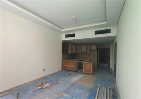 Palatium Residences, Jumeirah Village Circle (JVC) construction progress, 65.66% complete: RERA site inspection 19 Jun 2026 (photo 6)