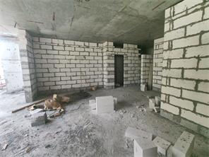 Linden Residences — construction site