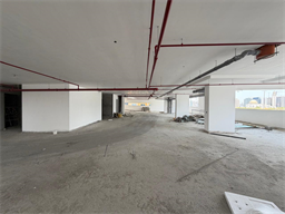 Inspection photo of Weybridge Gardens 3, 2026-08-05