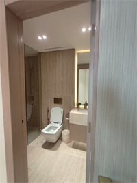 Binghatti Pinnacle, Al Jaddaf construction progress, 100% complete: RERA site inspection 29 Jul 2026 (photo 6)