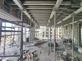 Oasiz 2 by Danube, Dubai Silicon Oasis (DSO) construction progress, 31% complete: RERA site inspection 29 Jul 2026 (photo 1)