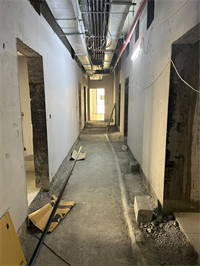 Inspection photo of THE EIGHTY THREE, 2026-08-11