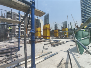 Inspection photo of VIVID TOWER, 2026-08-12