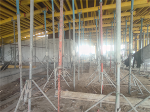 Inspection photo of VIVID TOWER, 2026-08-12
