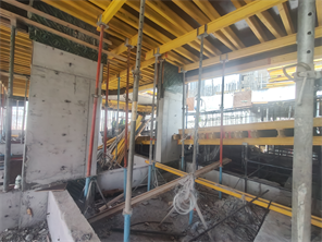 Inspection photo of VIVID TOWER, 2026-08-12