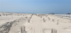 Jumeirah Asora Bay, La Mer construction progress, 4.4% complete: RERA site inspection 12 Aug 2026 (photo 2)