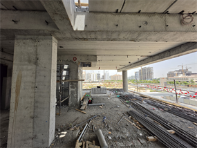 Inspection photo of Mangrove 2, 2026-08-10