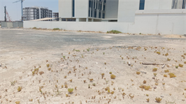 Aark Terraces, Dubailand construction progress, 0% complete: RERA site inspection 27 Jul 2026 (photo 2)