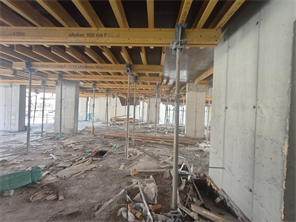 Lridian Park 1 — construction site