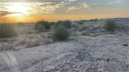 Latest DLD inspection photo of DAMAC ISLANDS - THE TROPICS 2 & 4 & 6