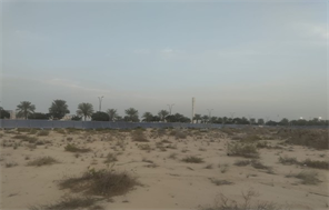Latest DLD inspection photo of Golf Fields