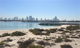 Bay Estate — construction site